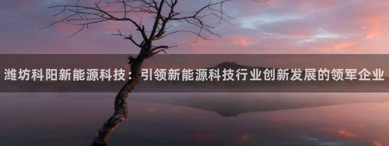 sunbet程序
