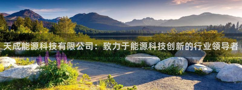 sunbet首页登录入口