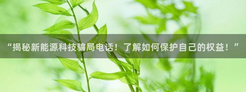 sunbet源码