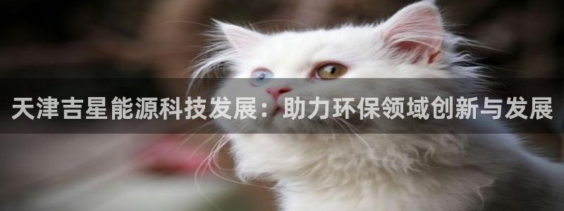 sunbet游戏最新版