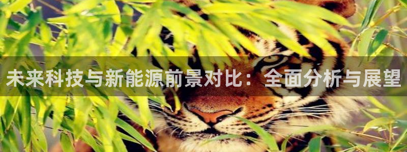 sunbet游戏官网