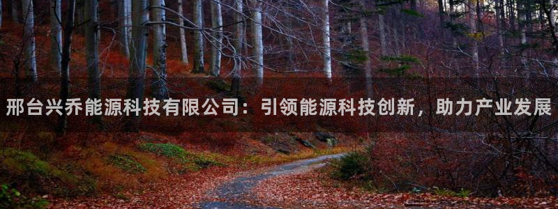 申博官网电脑版下载