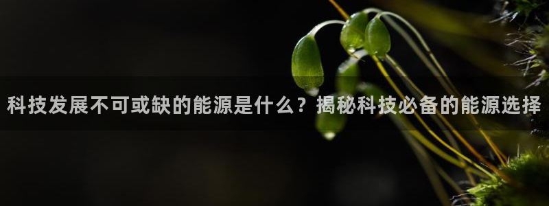 sunbet官网开户登录手机版