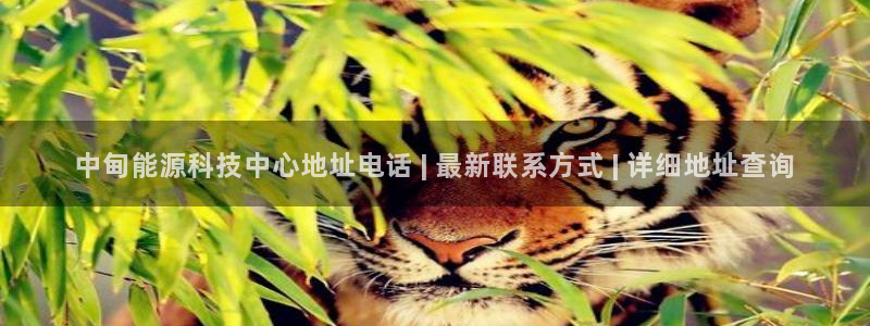 申博手机版app下载