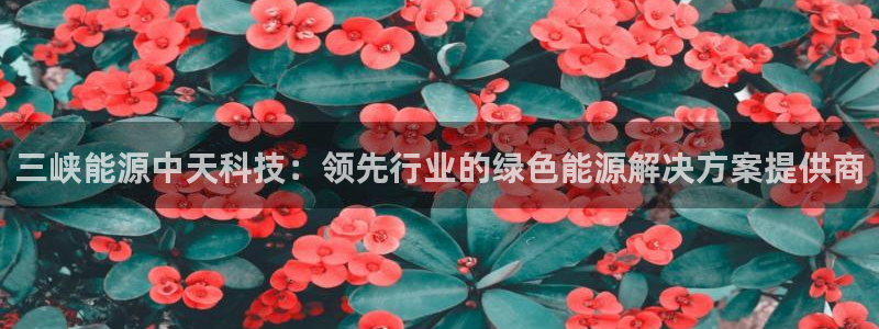 申博官网手机版下载app