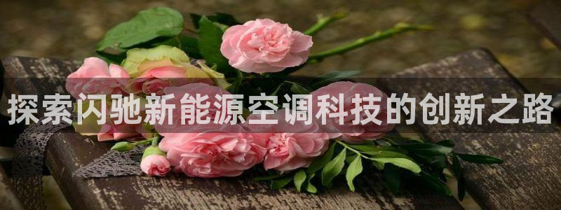 sunbet官网代理下载