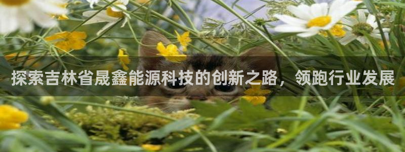 sunbet官网手机版登录
