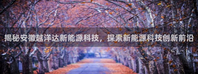 sunbet官网手机版登录