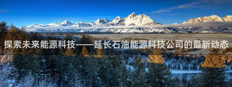 sunbet手机版官网下载