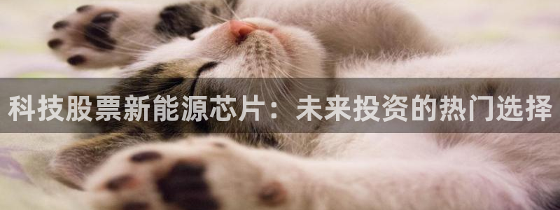sunbet手机网页版