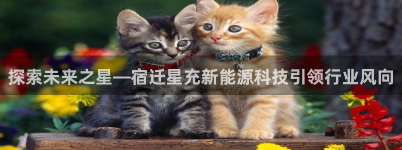 sunbet官网登录首页