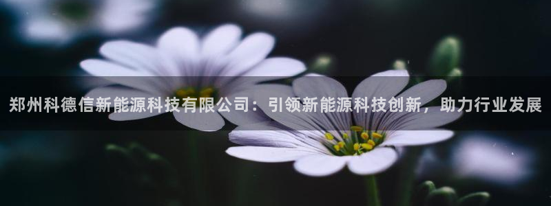 sunbet游戏