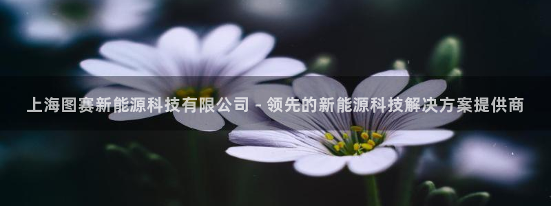 申博官网手机客户端