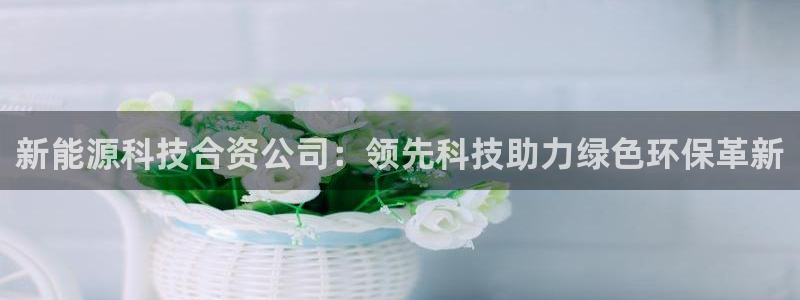 sunbet手机网页版本