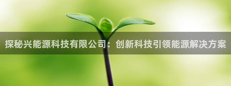 申博手机版官网