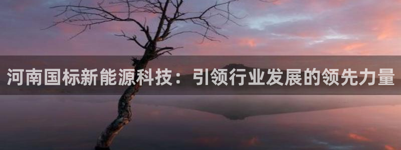 申博官方网站手机版下载