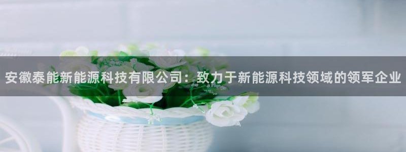 申博视讯