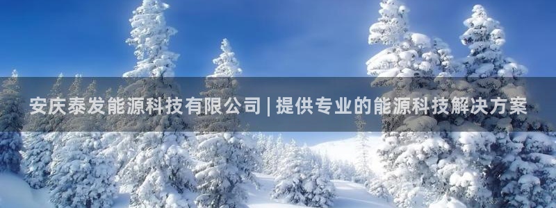 sunbet申搏地址