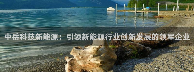 申博官网电脑版下载
