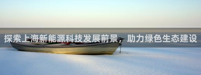 sunbet英语翻译
