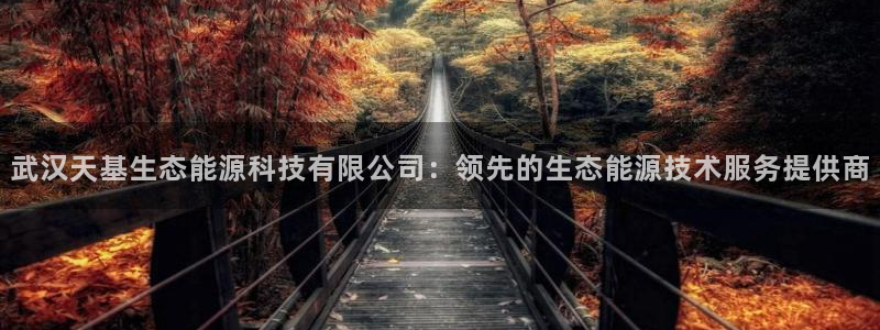sunbet英语翻译