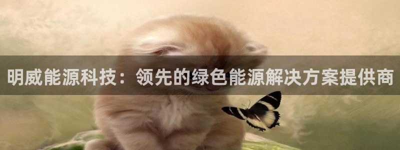 sunbet游戏