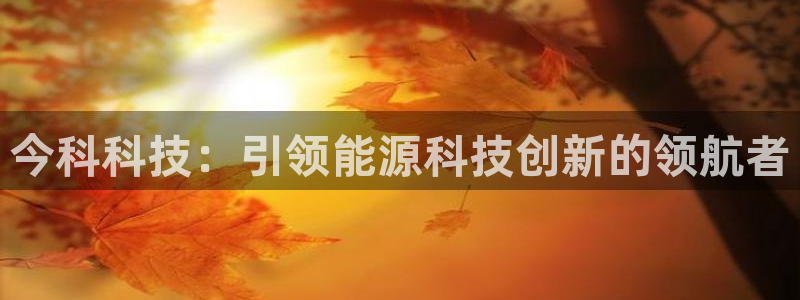 申博手机版官网