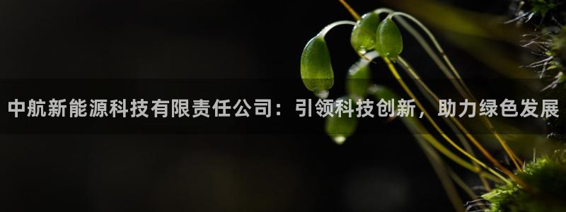 sunbet手机网页版本