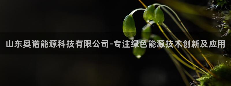 下载申搏sunbet并安装app