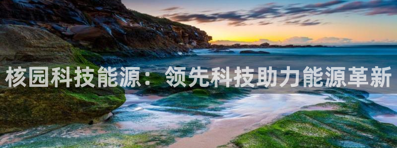 sunbet官网手机版登录