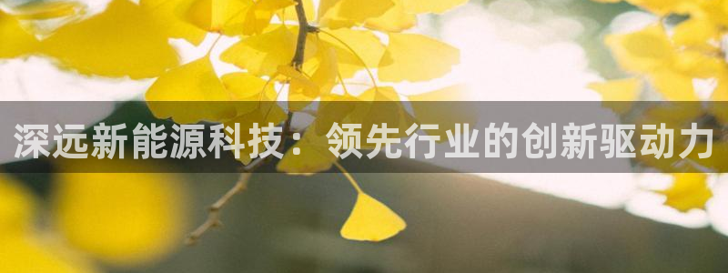 sunbet申搏官网