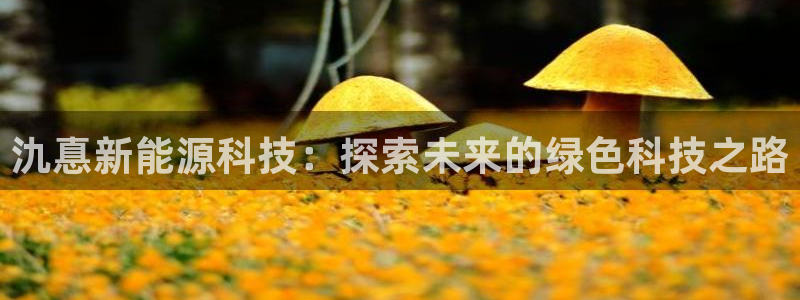 sunbet燃气灶