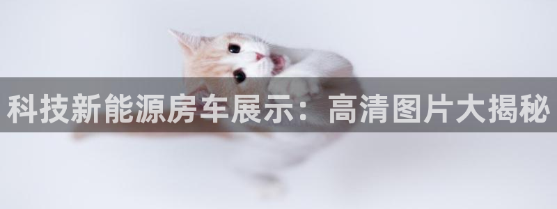 sunbet最新消息