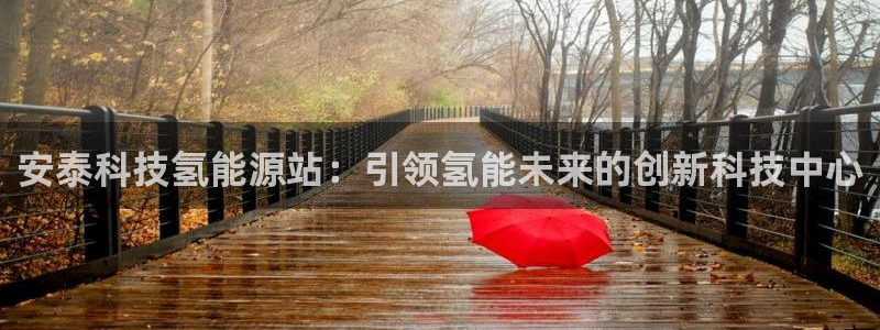 sunbet程序