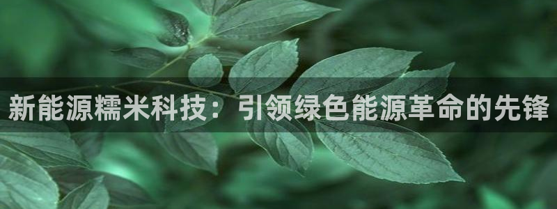sunbet最新消息