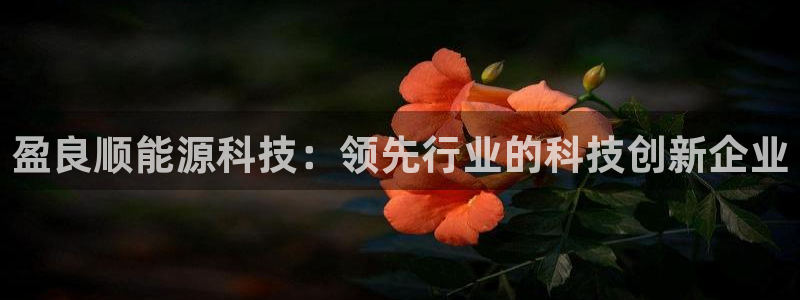 sunbet手机网页版本