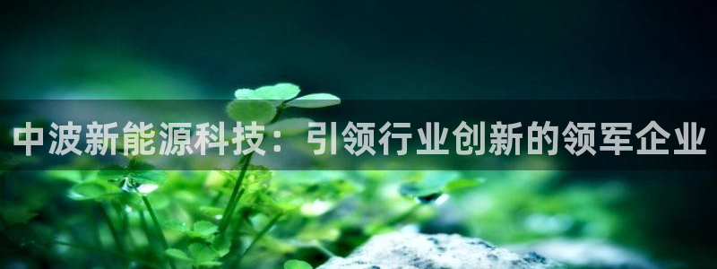 sunbet程序