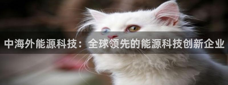 sunbet官网开户登录手机版