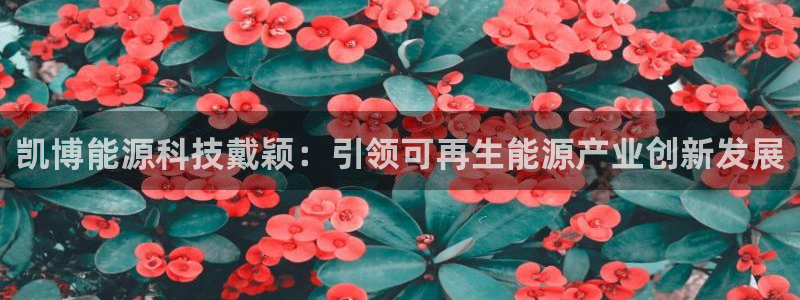 sunbet源码