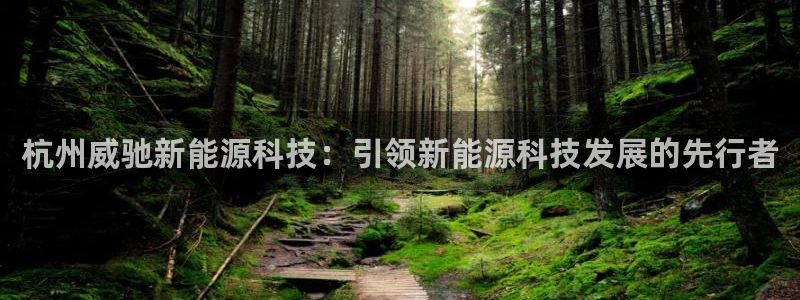 sunbet最新登陆