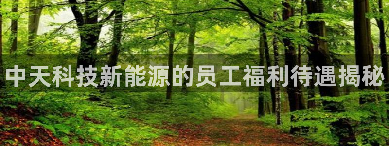 sunbet安卓下载