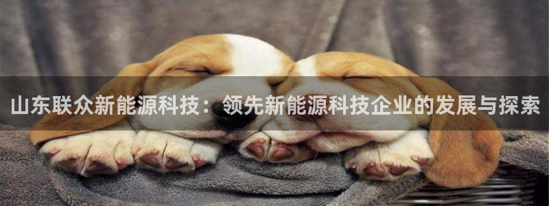sunbet官网开户登录手机版