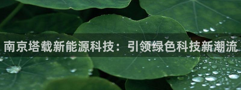 sunbet源码