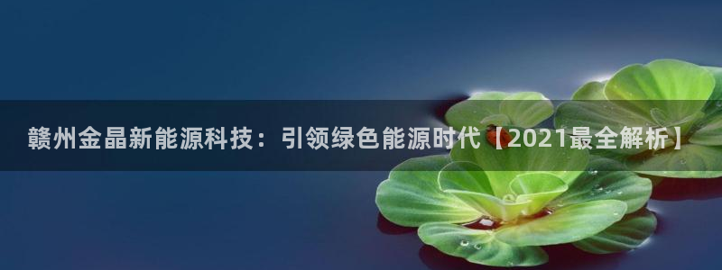 sunbet手机版官网下载