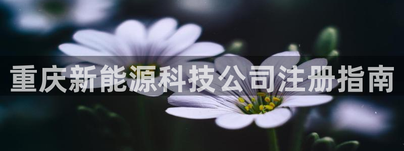 sunbet安卓下载