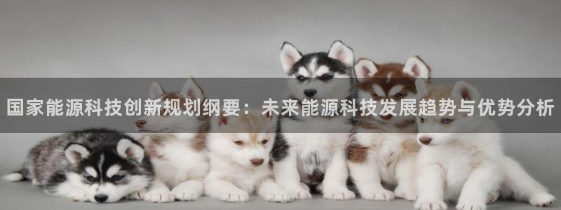 sunbet程序