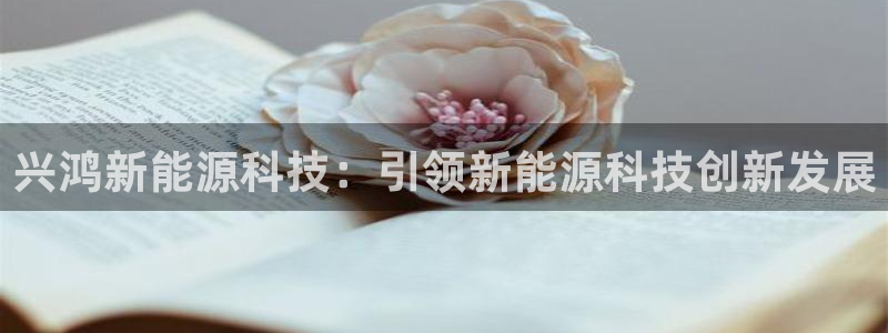 sunbet手机端