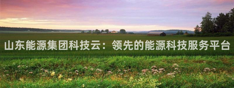 申博官网电脑版下载