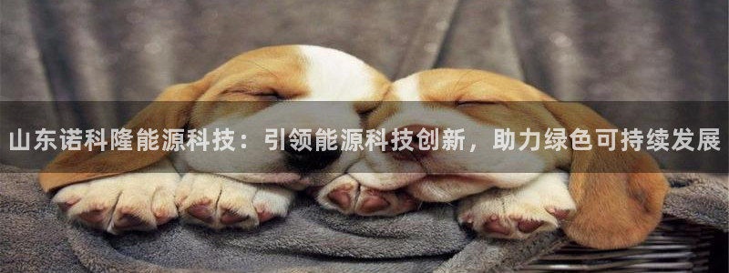 sunbet申搏官方网站