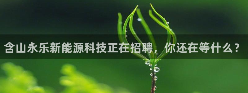 sunbet最新消息